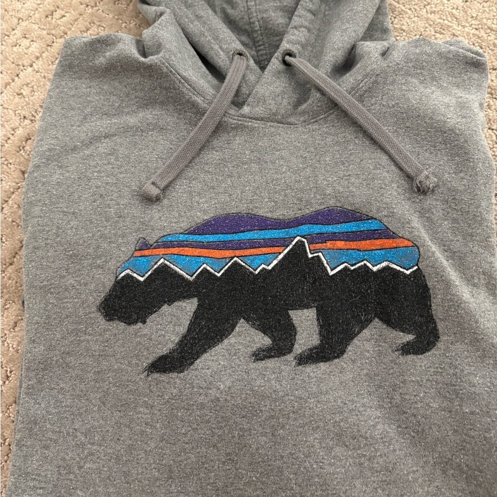 Patagonia Gray Graphic Hoodie